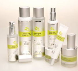 上海進口化妝品彩妝報關(guān)代理